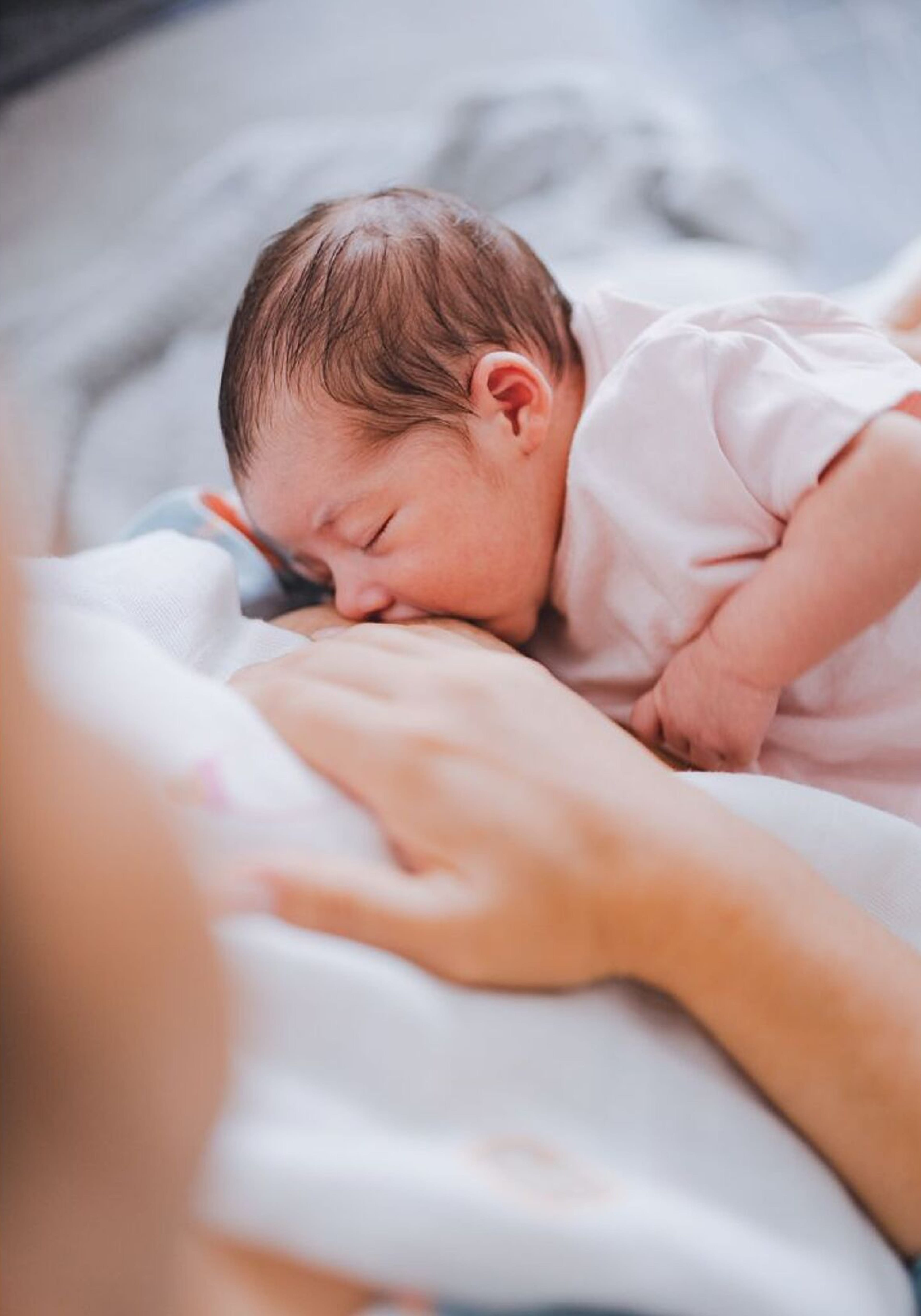Lactation support Ayurvedic wellness care